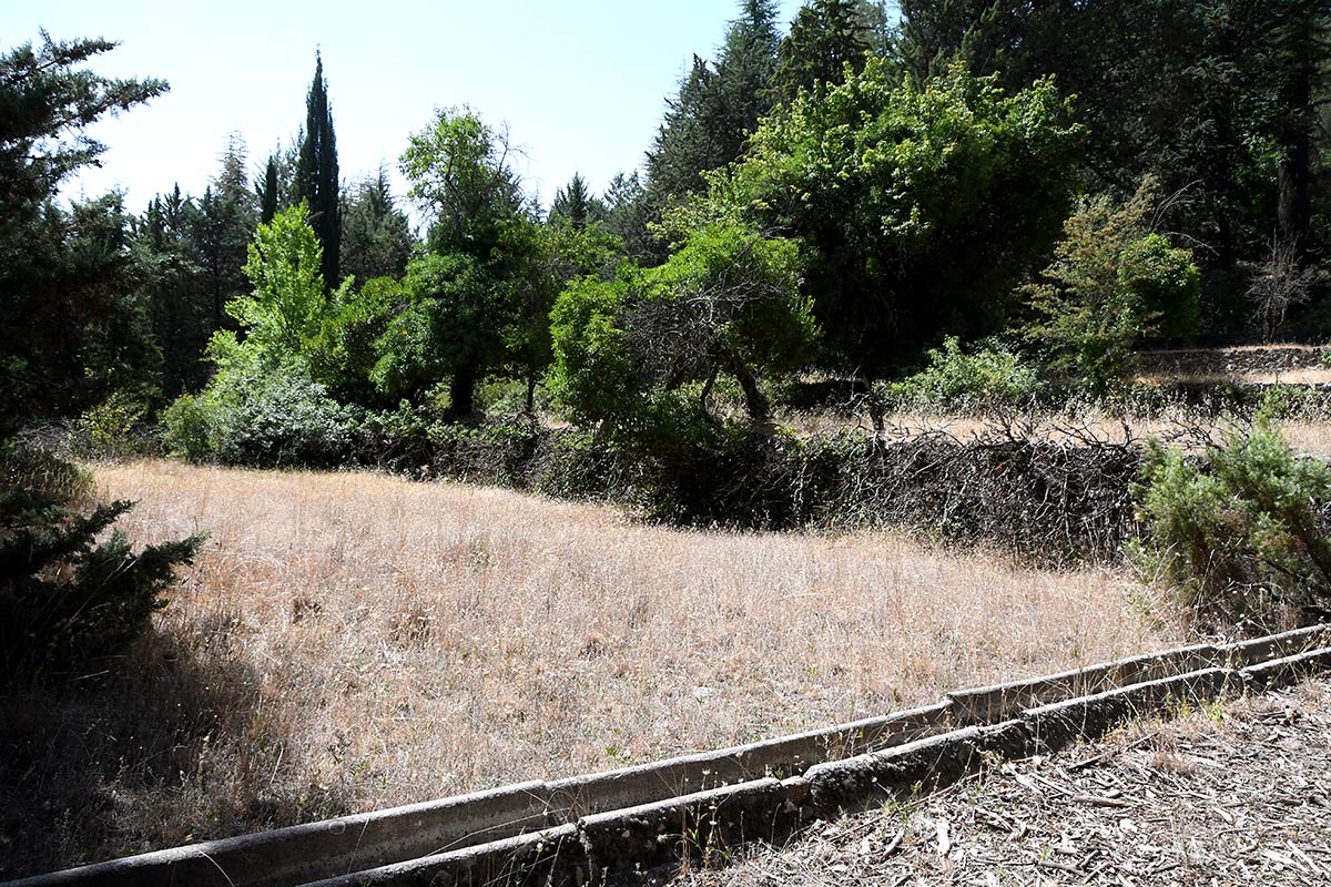 Vieo vivero abandonado de Los Peñoncillos 