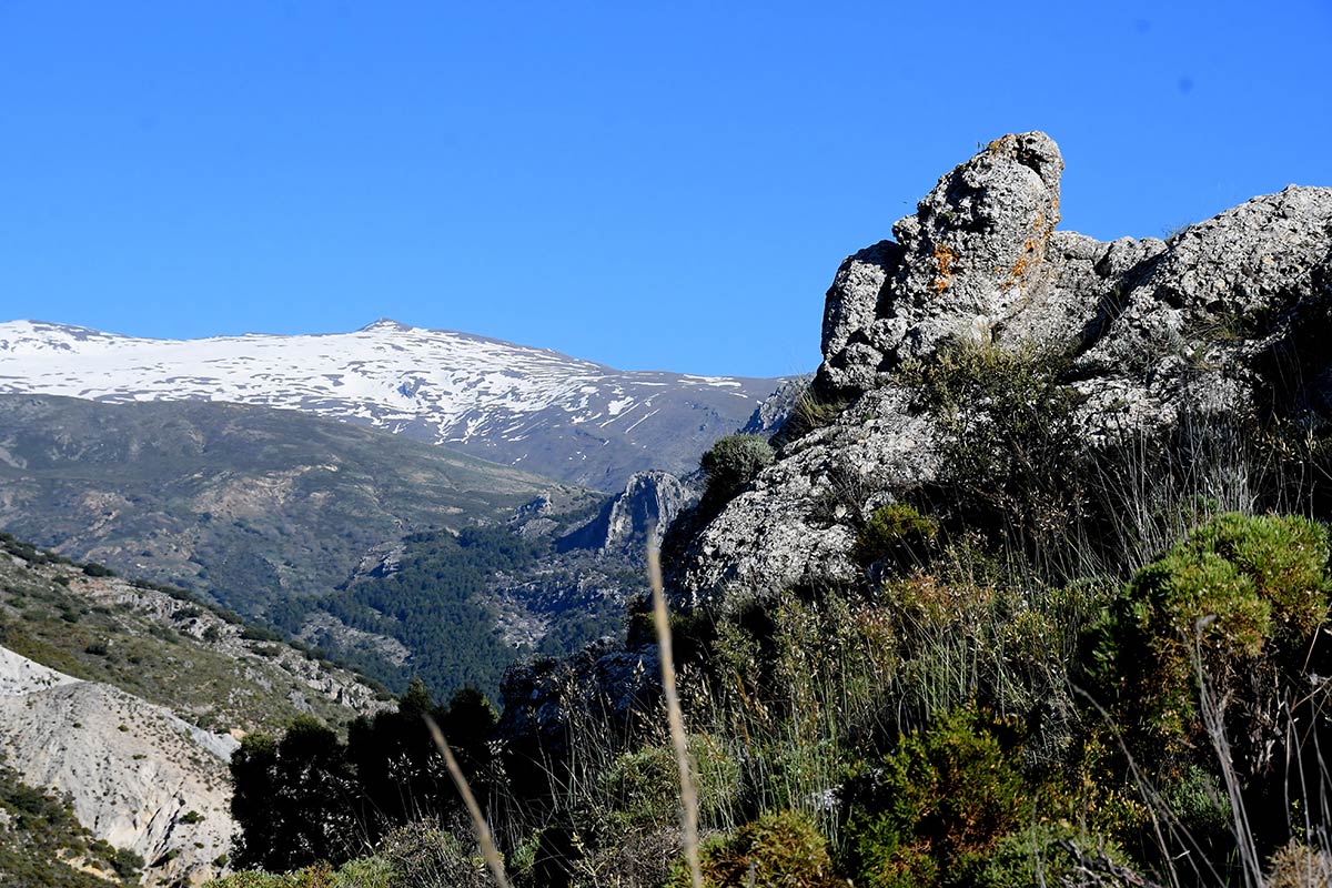 Sendero de Haza Larguilla 