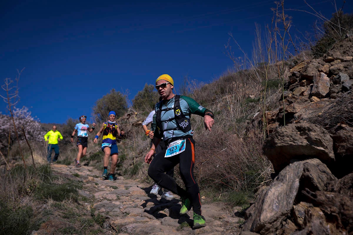 Si has participado en la carrera te puedes buscar aquí
