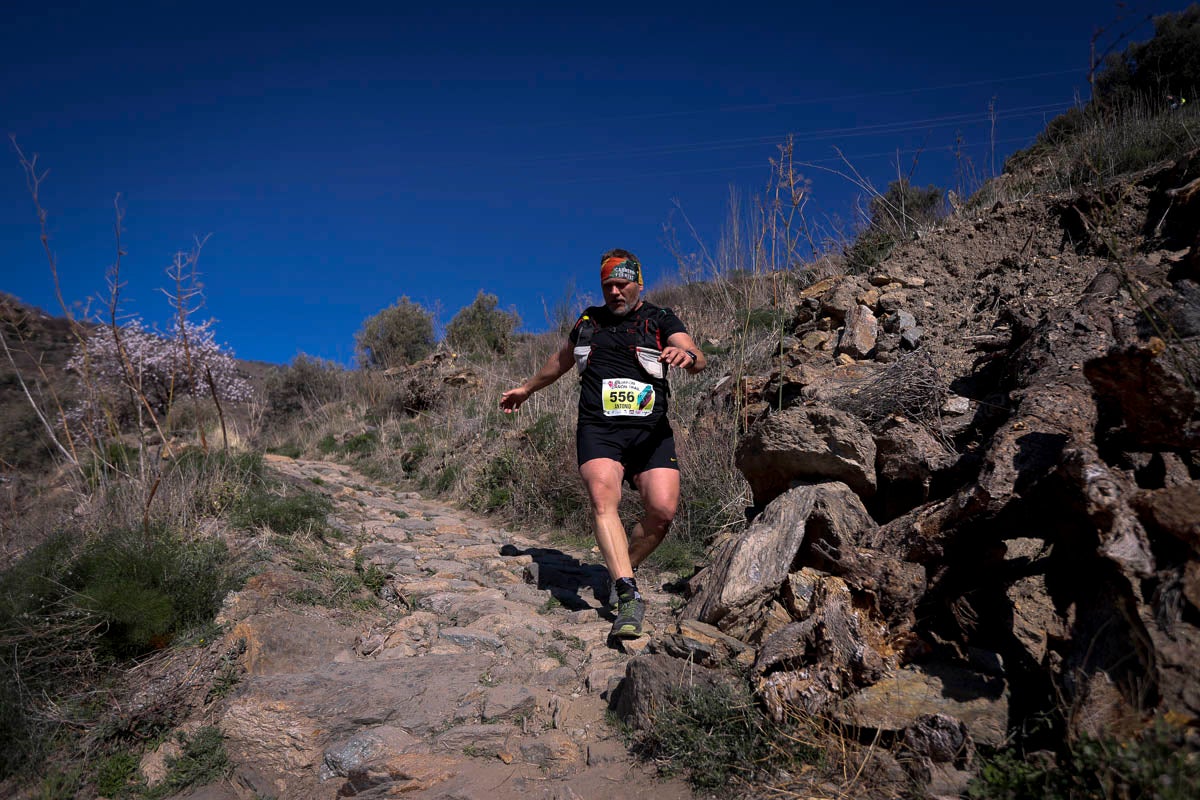 Si has participado en la carrera te puedes buscar aquí