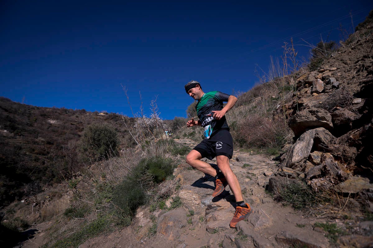 Si has participado en la carrera te puedes buscar aquí
