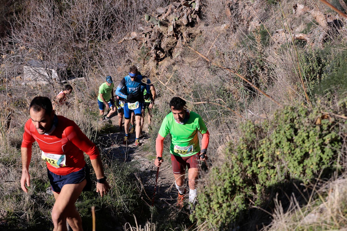 Si has participado en la carrera te puedes buscar aquí