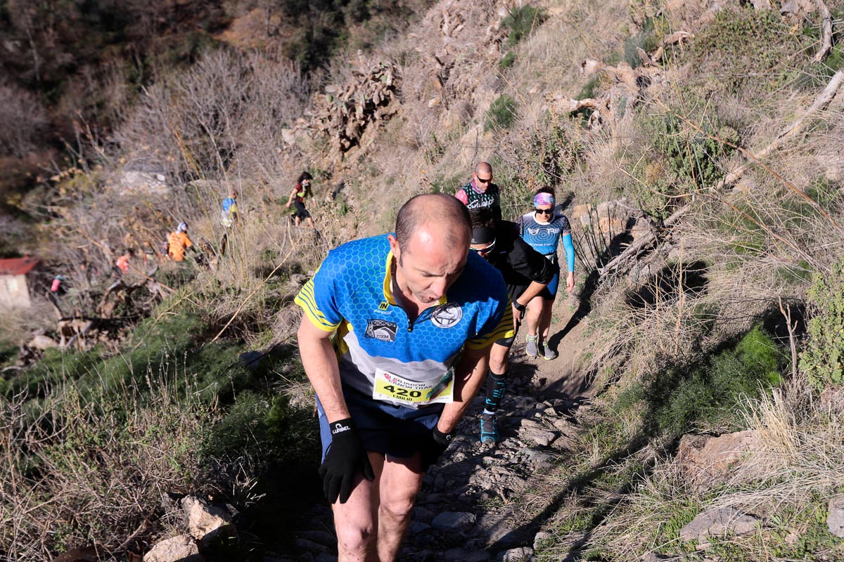 Si has participado en la carrera te puedes buscar aquí