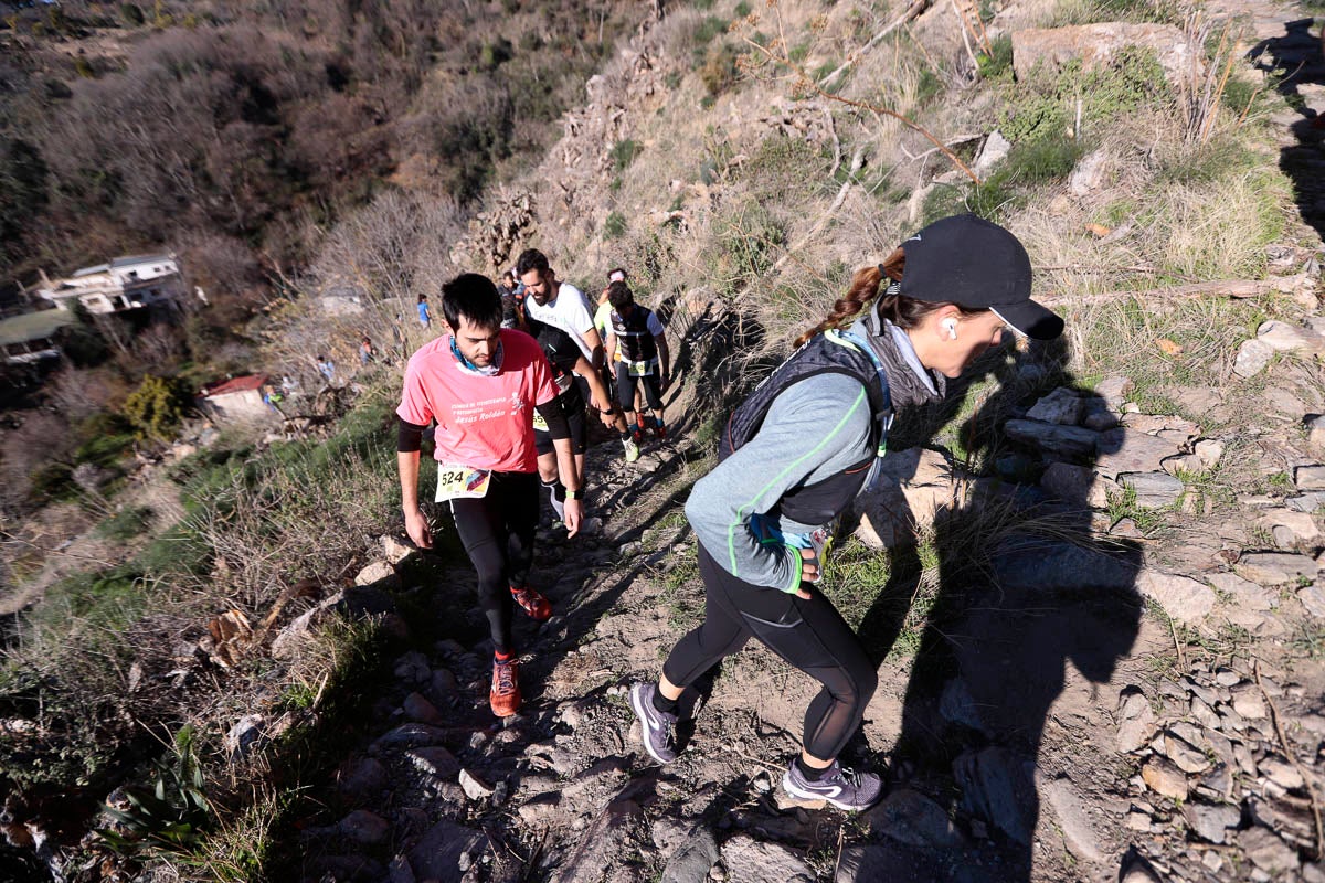 Si has participado en la carrera te puedes buscar aquí