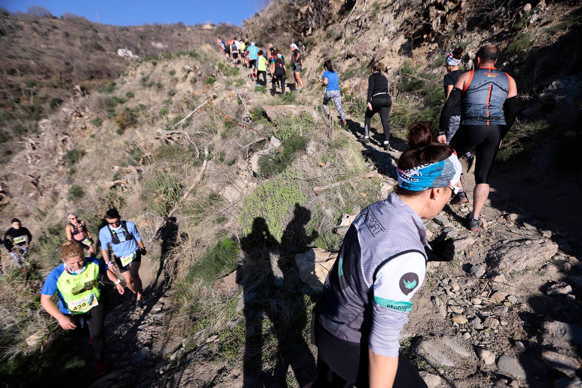 Si has participado en la carrera te puedes buscar aquí