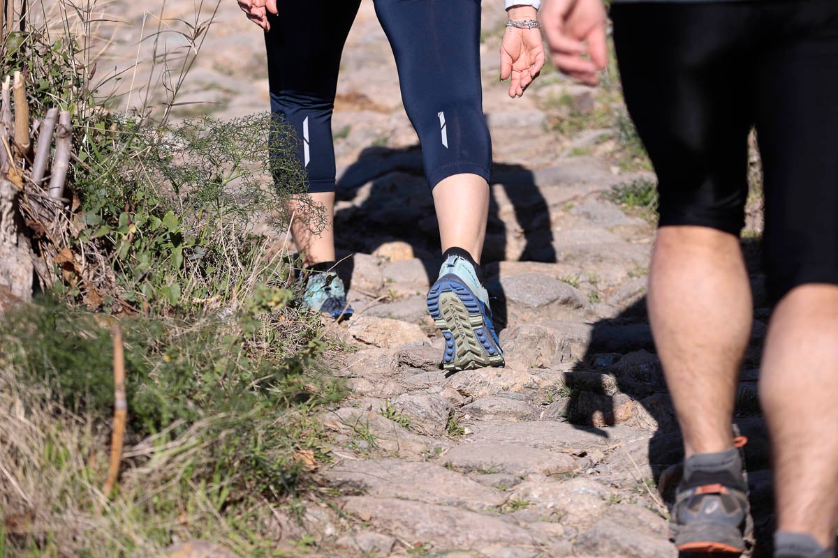 Si has participado en la carrera te puedes buscar aquí