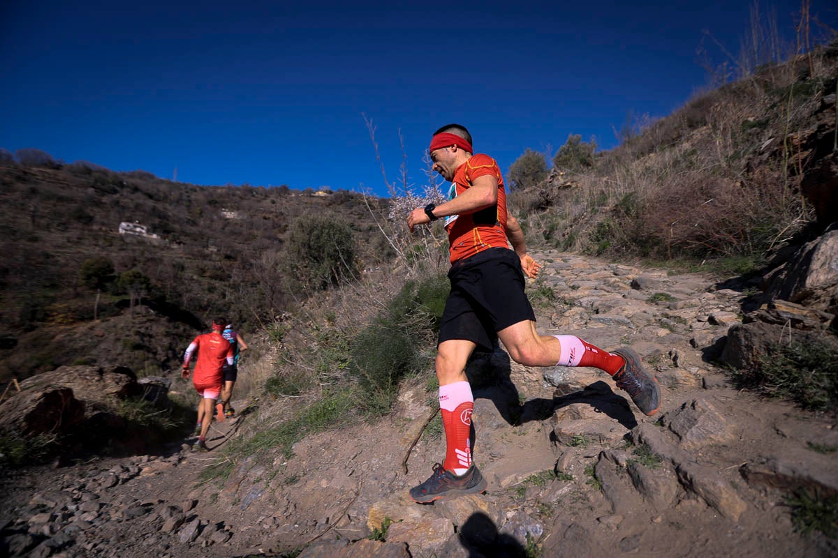 Si has participado en la carrera te puedes buscar aquí