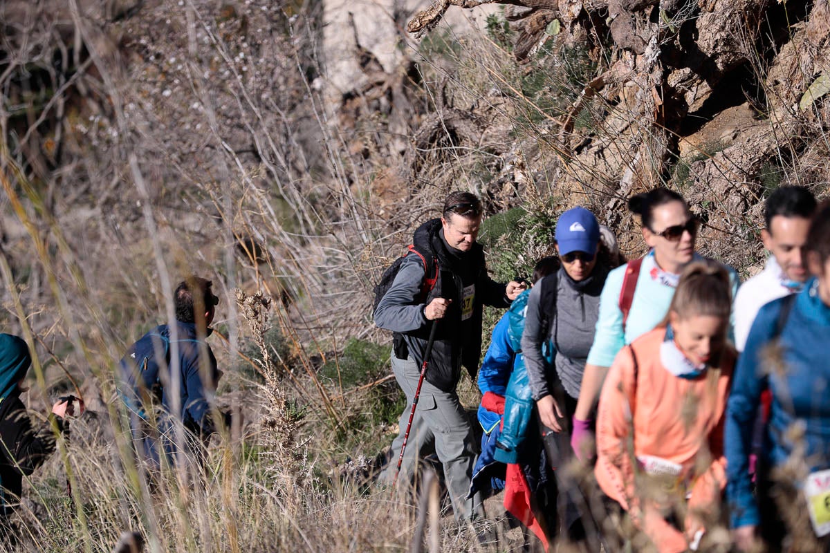 Si has participado en la carrera te puedes buscar aquí