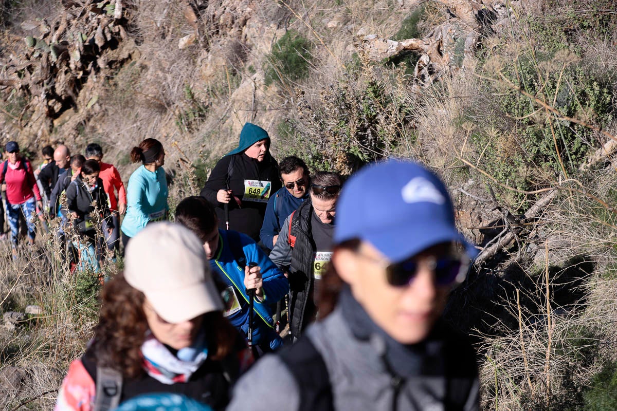Si has participado en la carrera te puedes buscar aquí