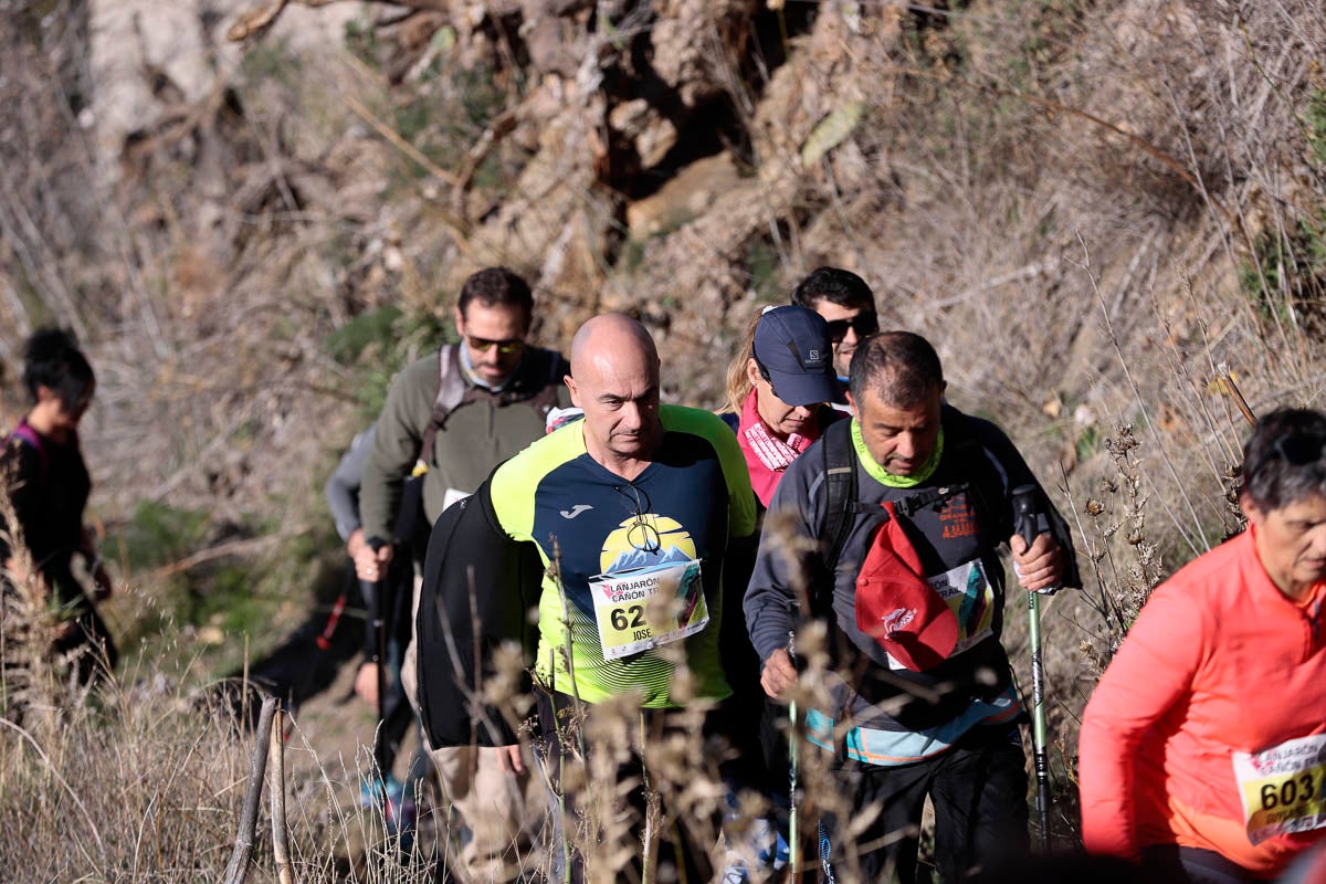 Si has participado en la carrera te puedes buscar aquí