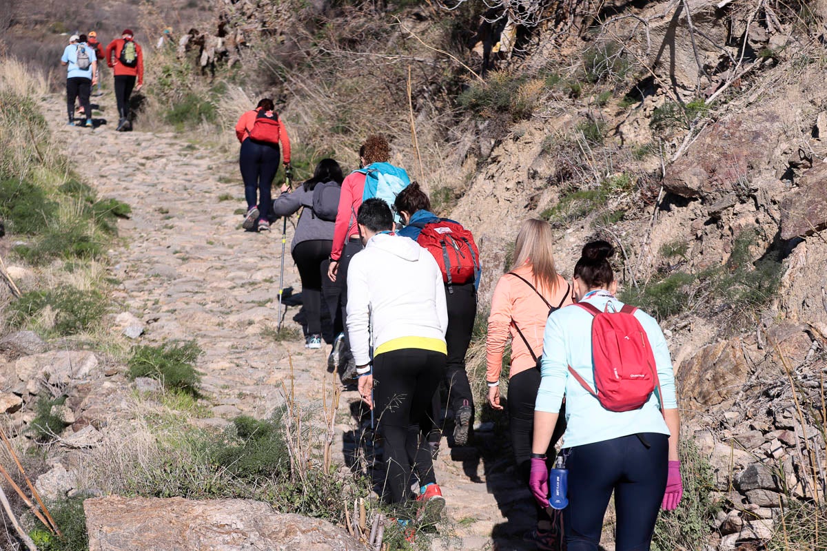 Si has participado en la carrera te puedes buscar aquí