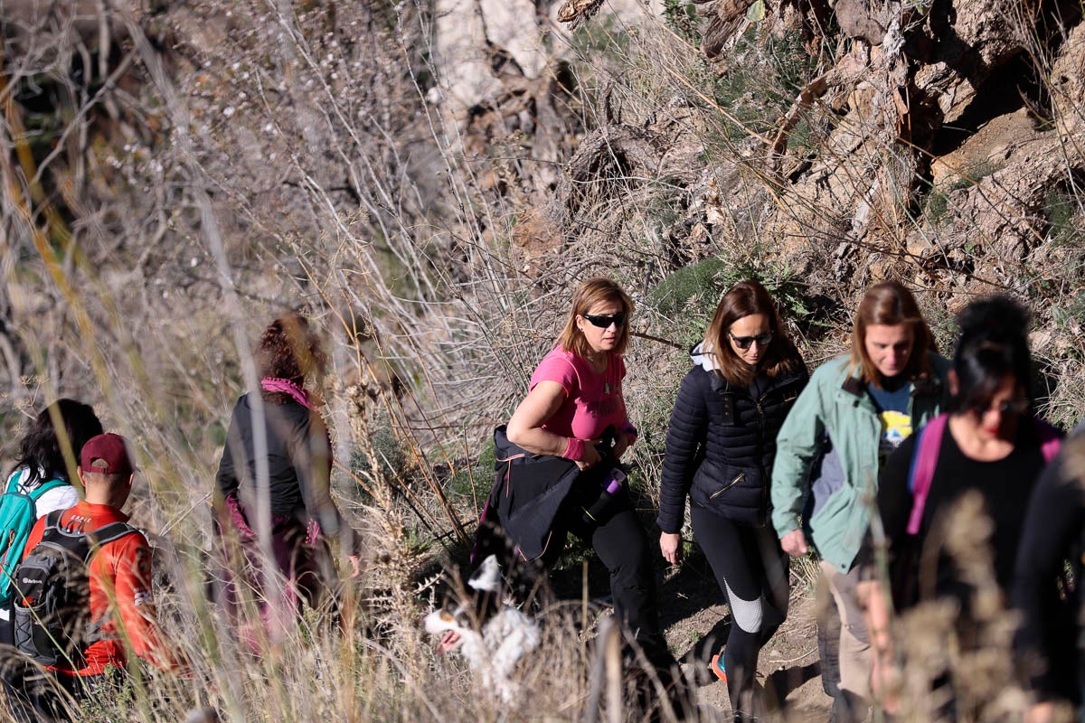 Si has participado en la carrera te puedes buscar aquí