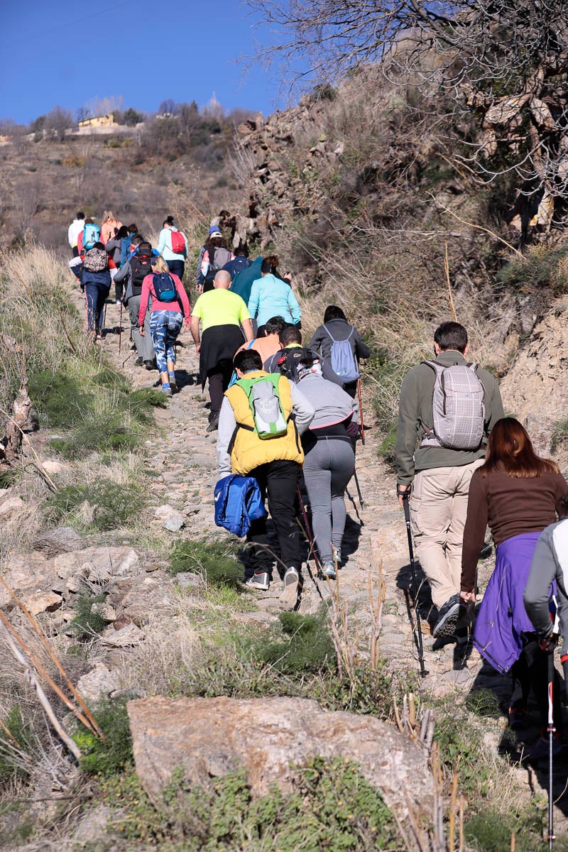Si has participado en la carrera te puedes buscar aquí
