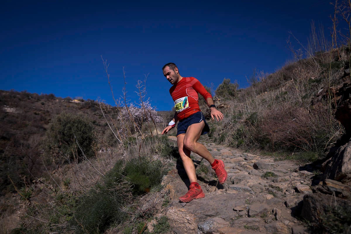 Si has participado en la carrera te puedes buscar aquí