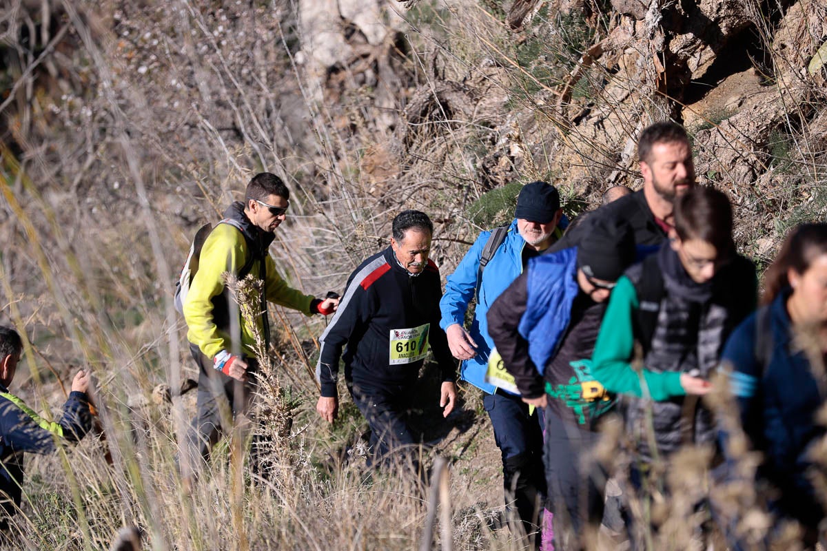 Si has participado en la carrera te puedes buscar aquí