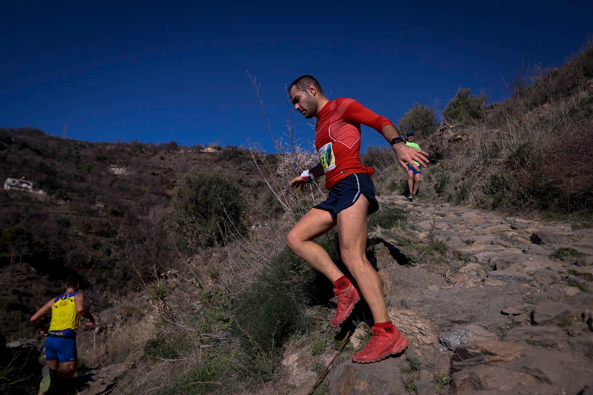 Si has participado en la carrera te puedes buscar aquí