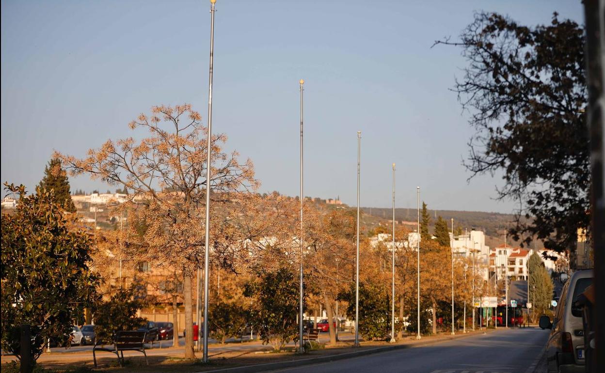 Los mástiles del Paseo de Europa, sin las banderas de los países de la UE.