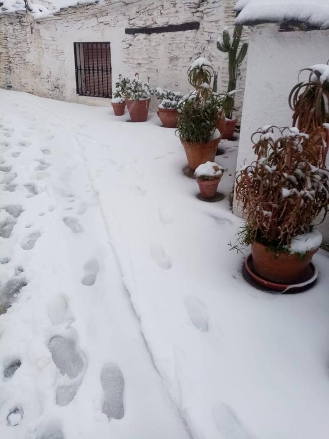 Almería se tiñe de blanco.