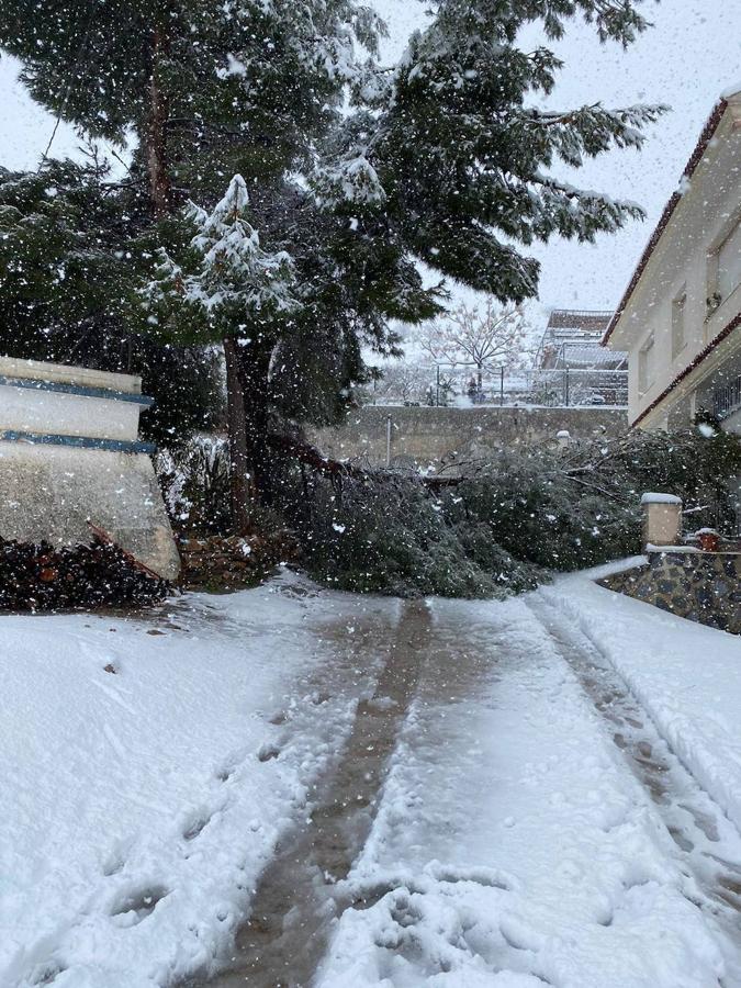 Almería se tiñe de blanco.
