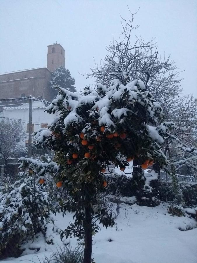 Almería se tiñe de blanco.