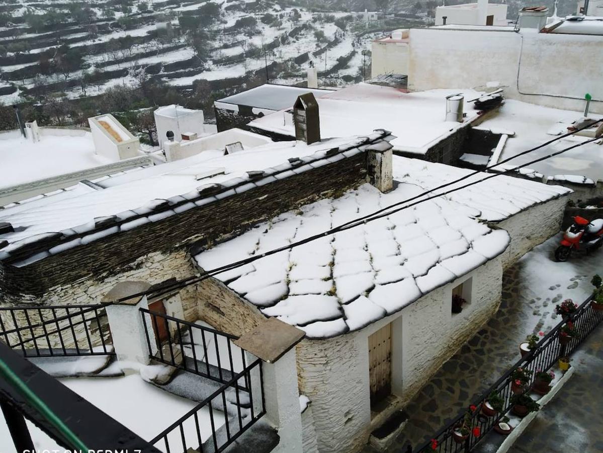 Almería se tiñe de blanco.