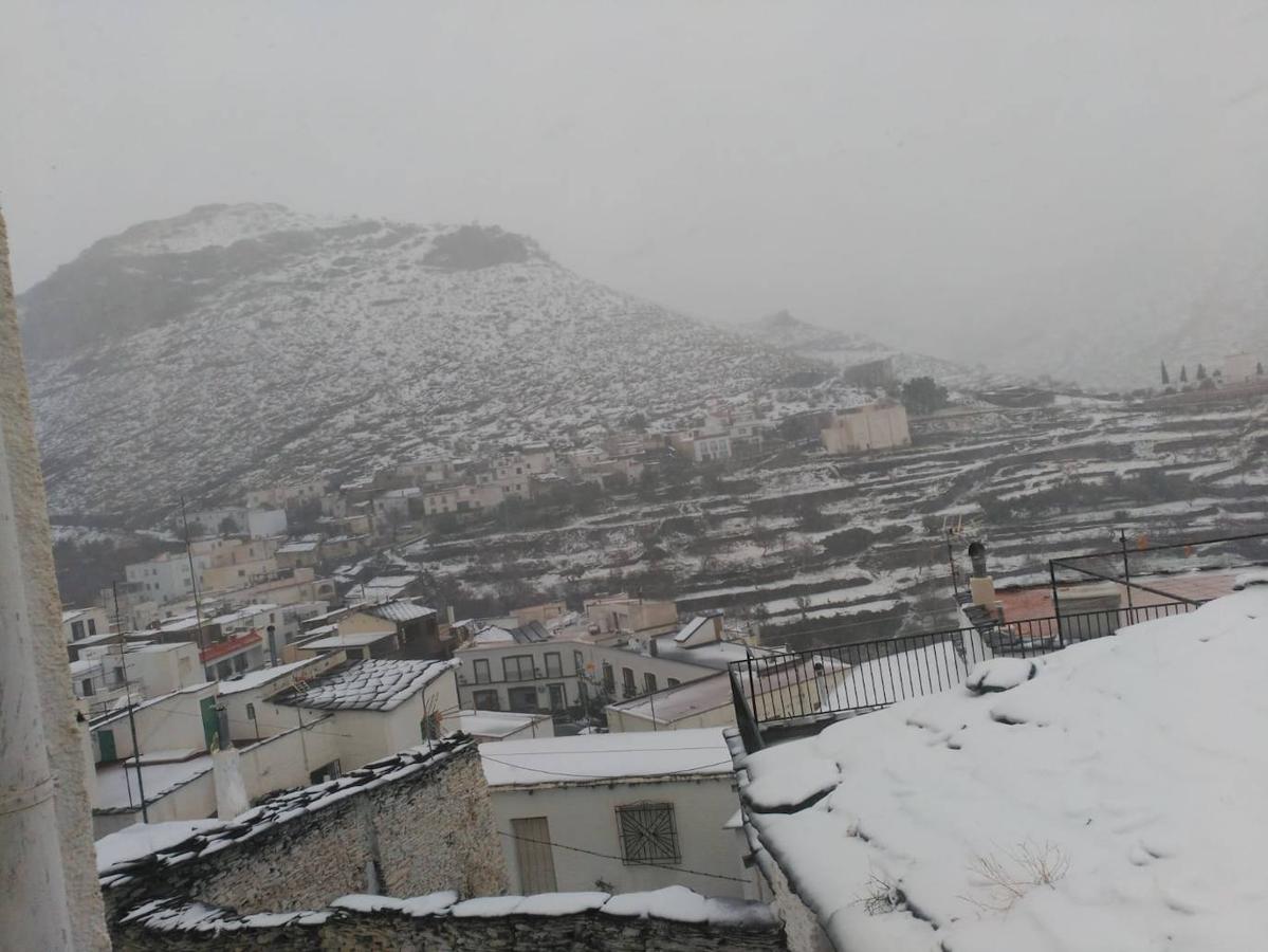 Almería se tiñe de blanco.