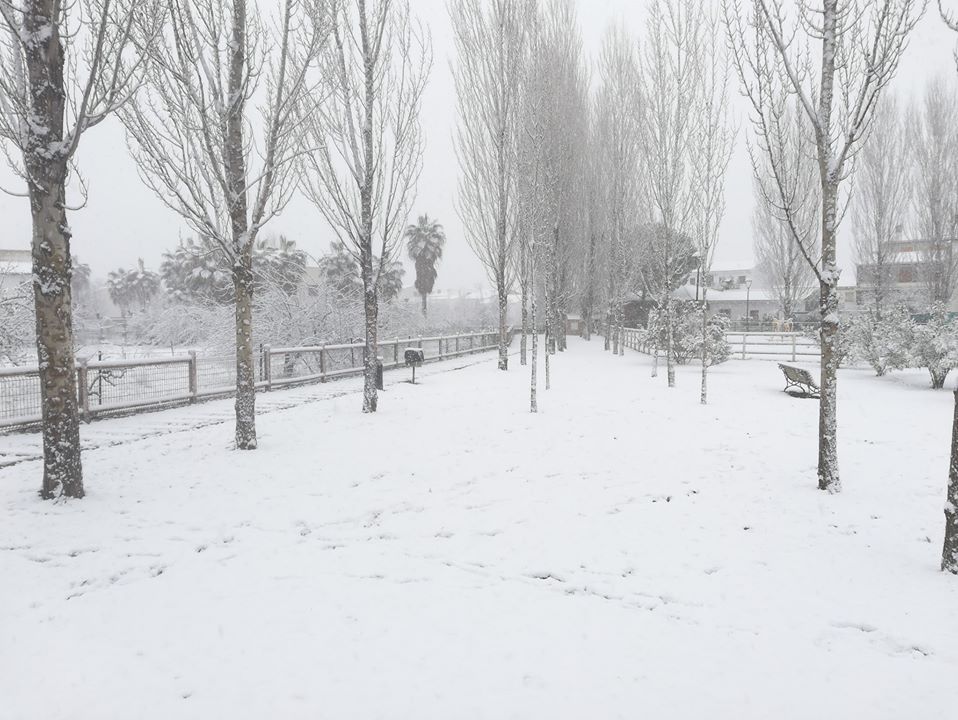 Jaén capital y su provincia se visten de blanco este lunes por el temporal.