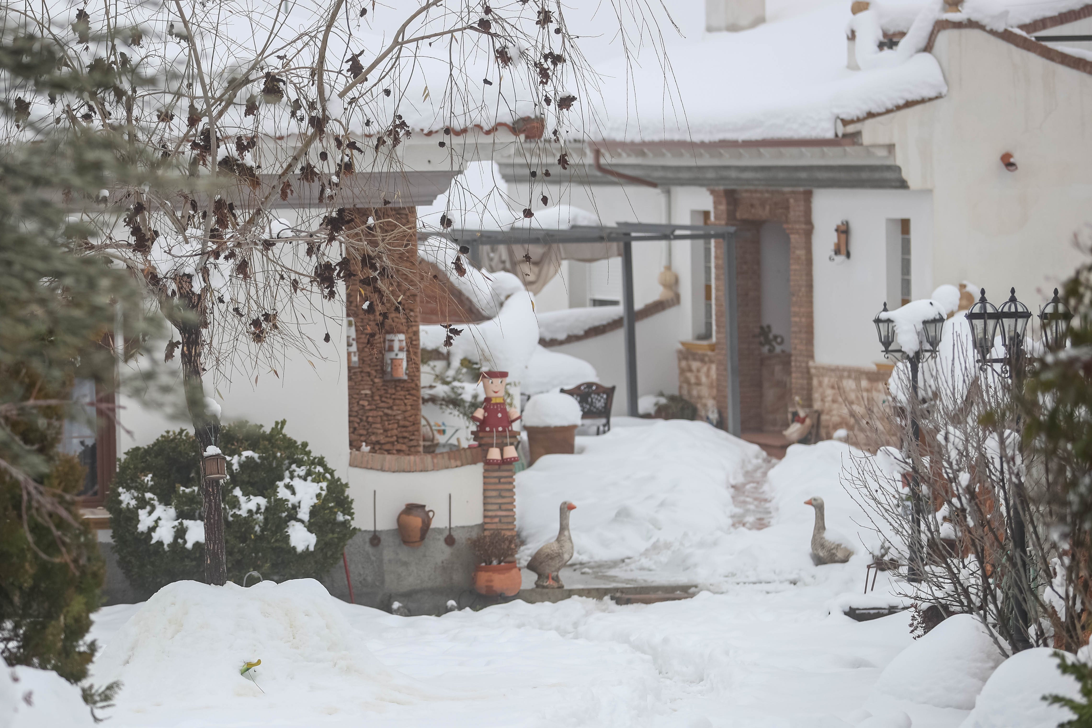 Son los propios vecinos los que arriman el hombro para abrir senderos en los muros de nieve,que ha dejado estampas para el recuerdo