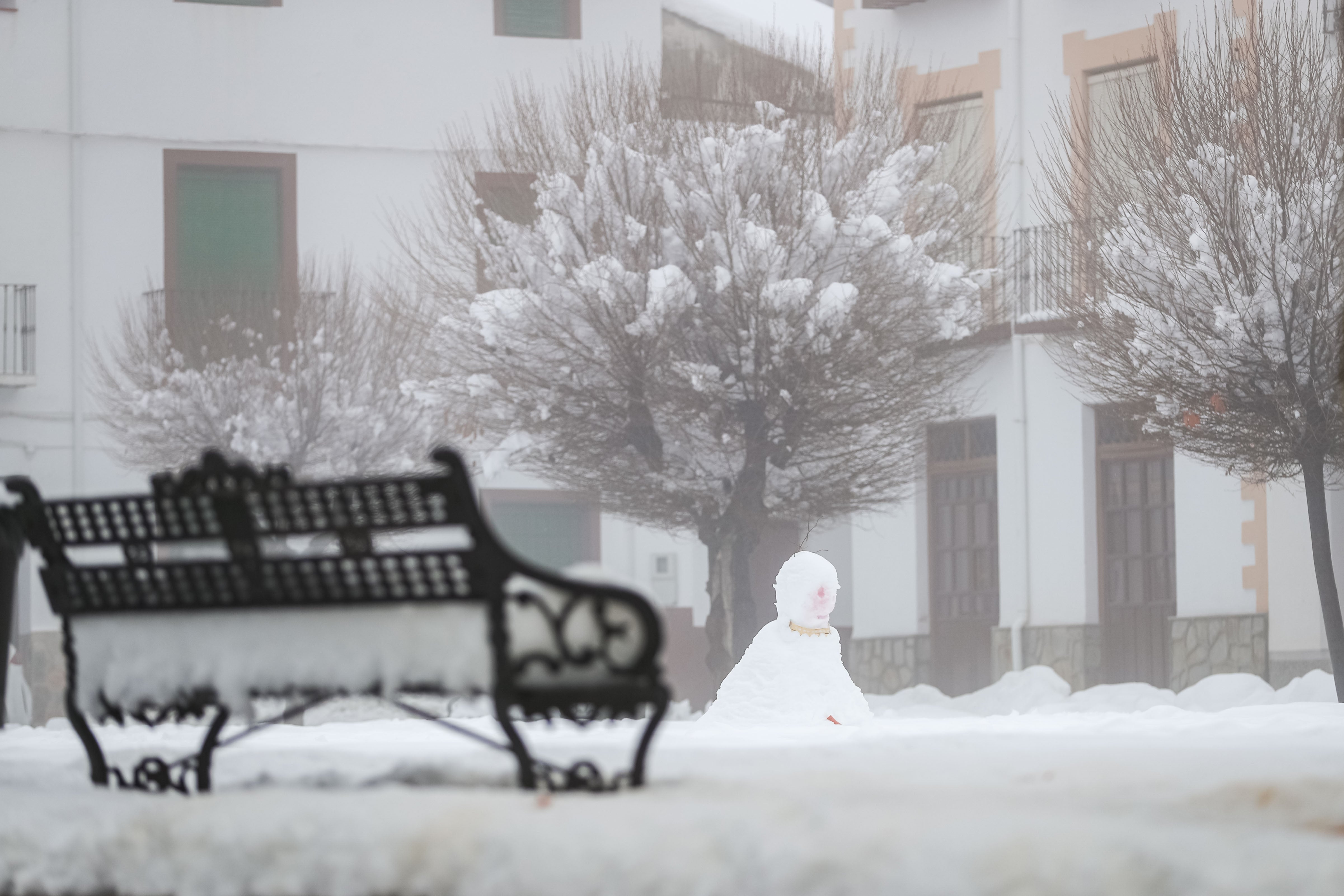 Son los propios vecinos los que arriman el hombro para abrir senderos en los muros de nieve,que ha dejado estampas para el recuerdo