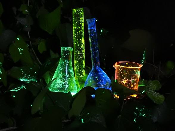 Naturaleza química: en esta fotografía, los autores se han llevado el material de laboratorio al campo para realizar reacciones de quimioluminiscencia para mostrar que la naturaleza es Química, que la Química está en la naturaleza