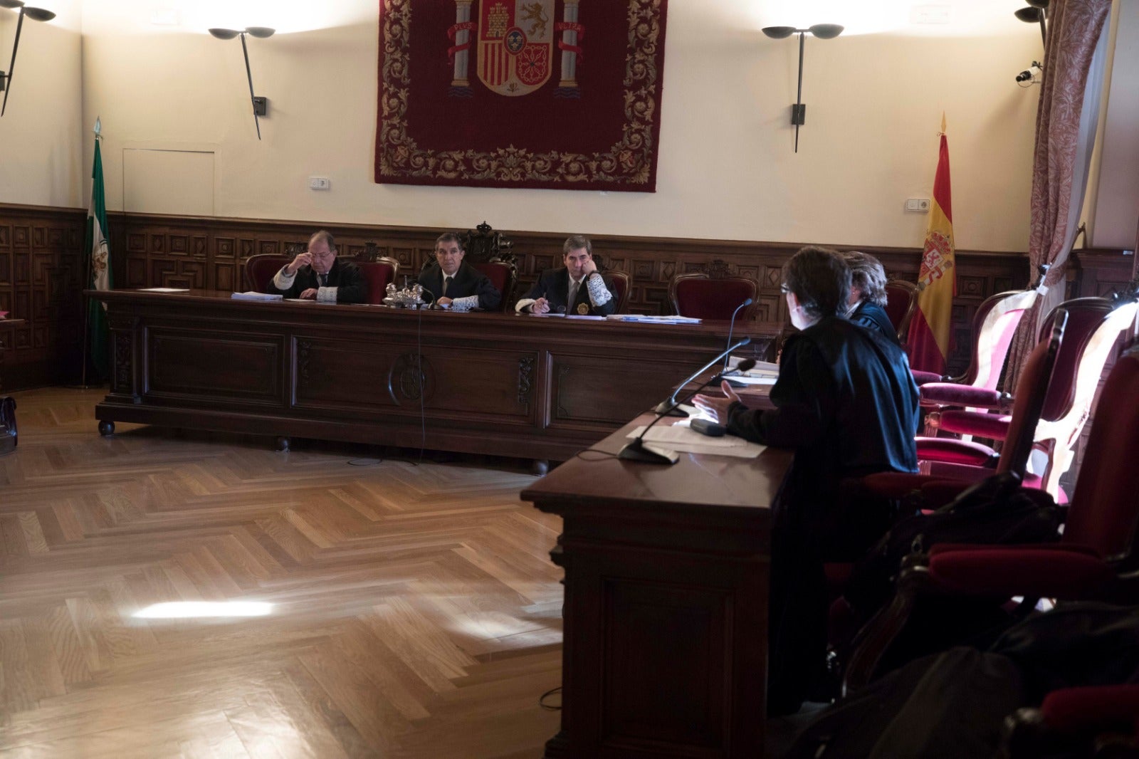 El TSJA emitirá un resolución en un plazo aproximado de una semana, según ha anunciado el presidente de la sala antes de dejar el asunto visto para sentencia