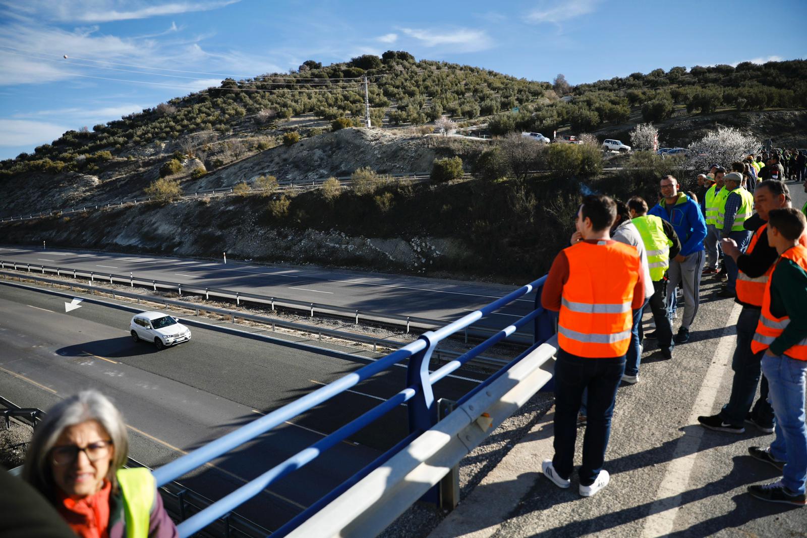 Miles de trabajadores del sector del olivar se han manifestado en toda la provincia de Jaén