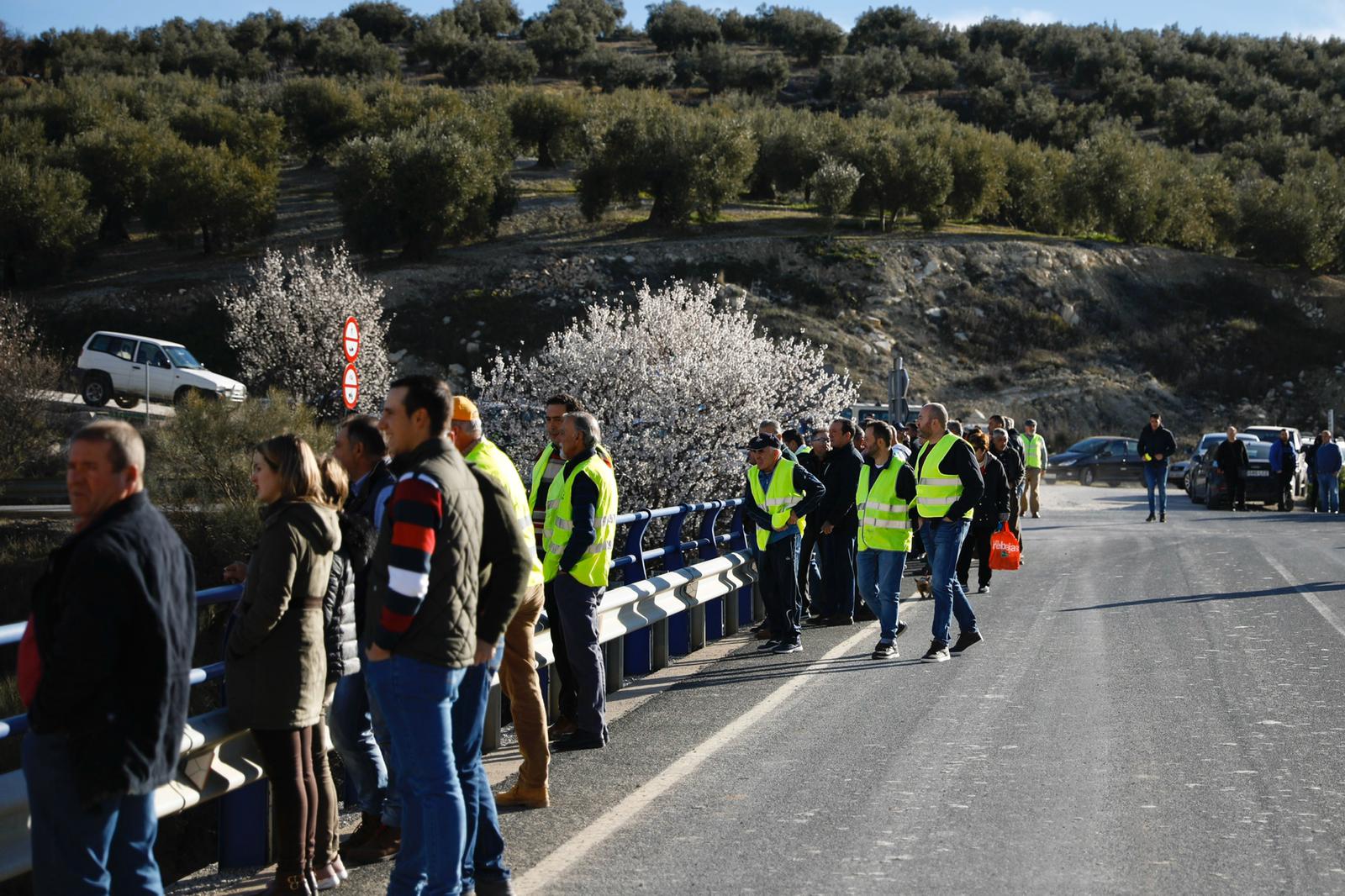 Miles de trabajadores del sector del olivar se han manifestado en toda la provincia de Jaén