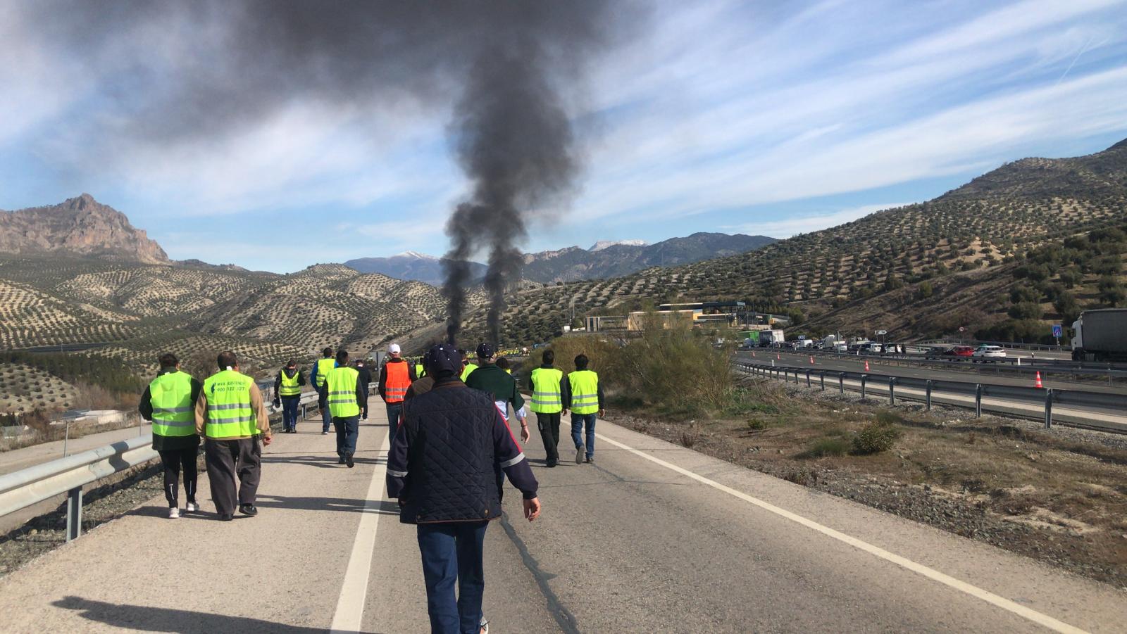 Miles de trabajadores del sector del olivar se han manifestado en toda la provincia de Jaén