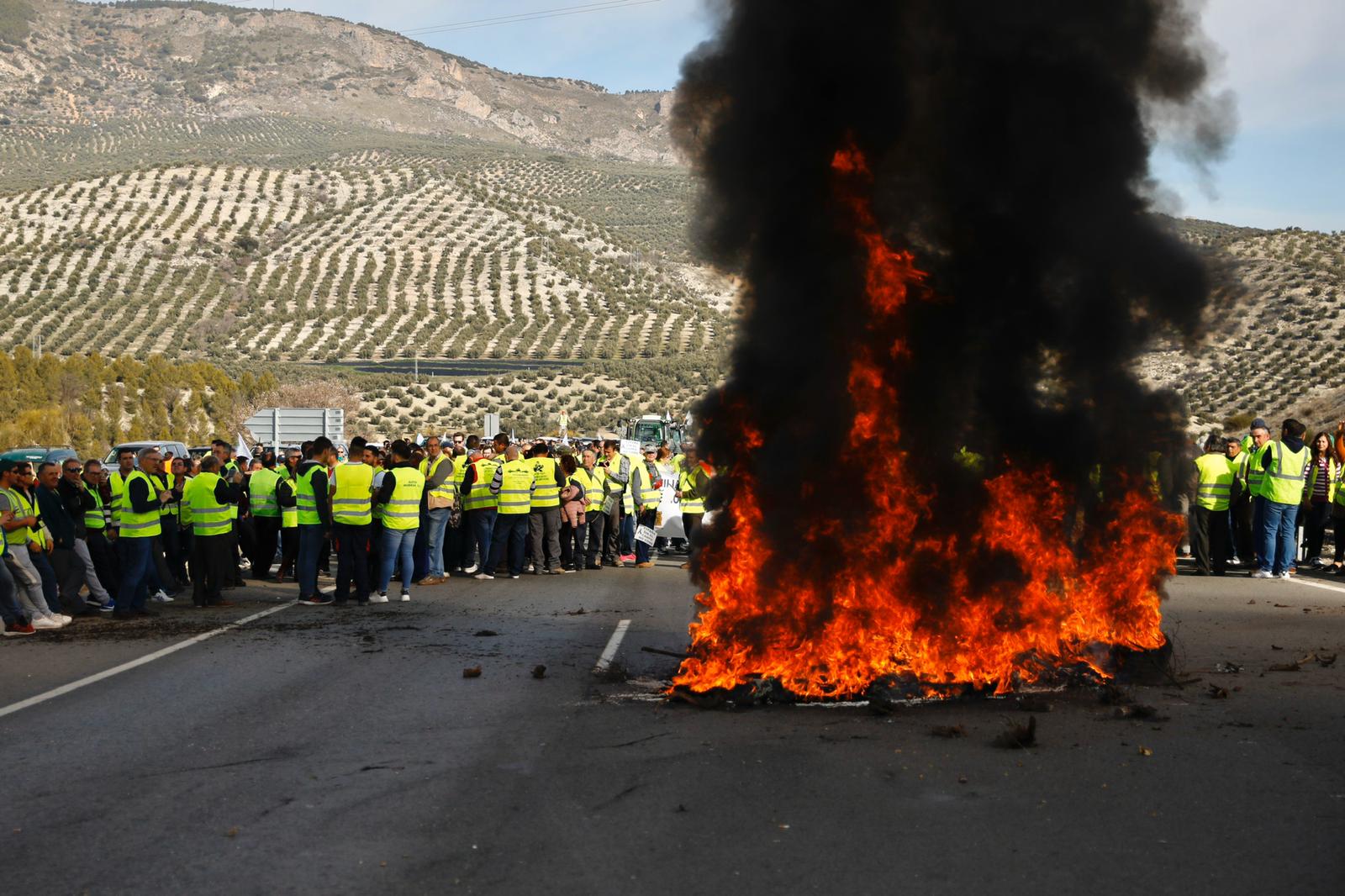 Miles de trabajadores del sector del olivar se han manifestado en toda la provincia de Jaén