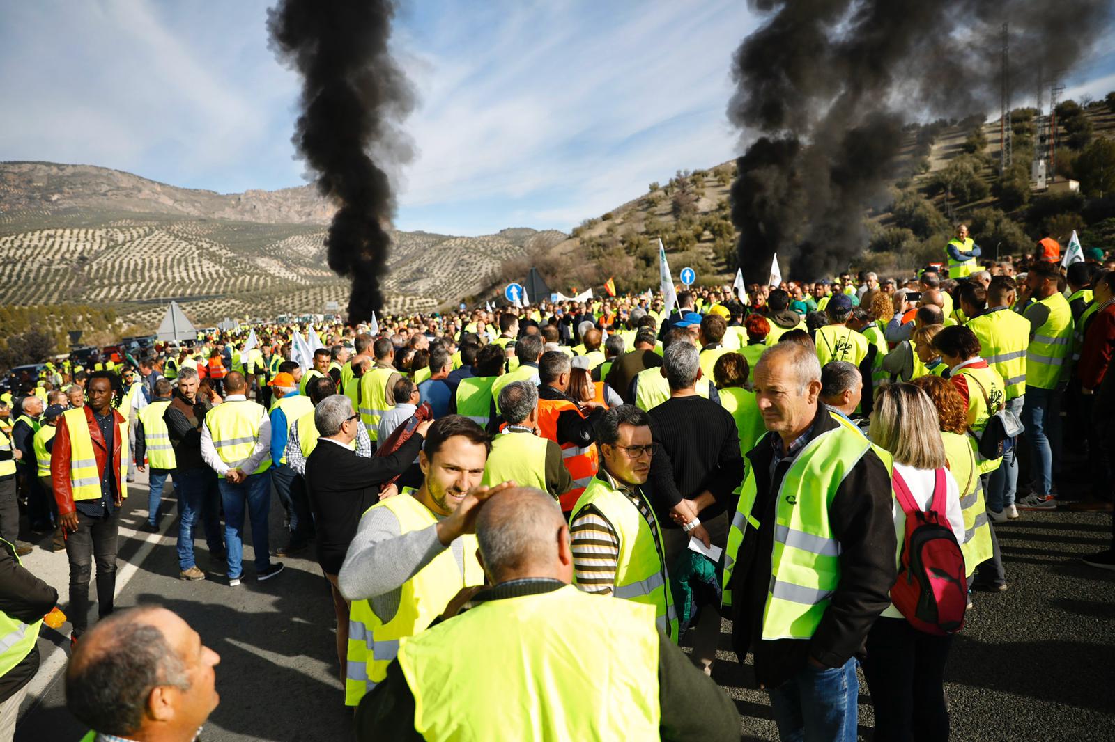 Miles de trabajadores del sector del olivar se han manifestado en toda la provincia de Jaén