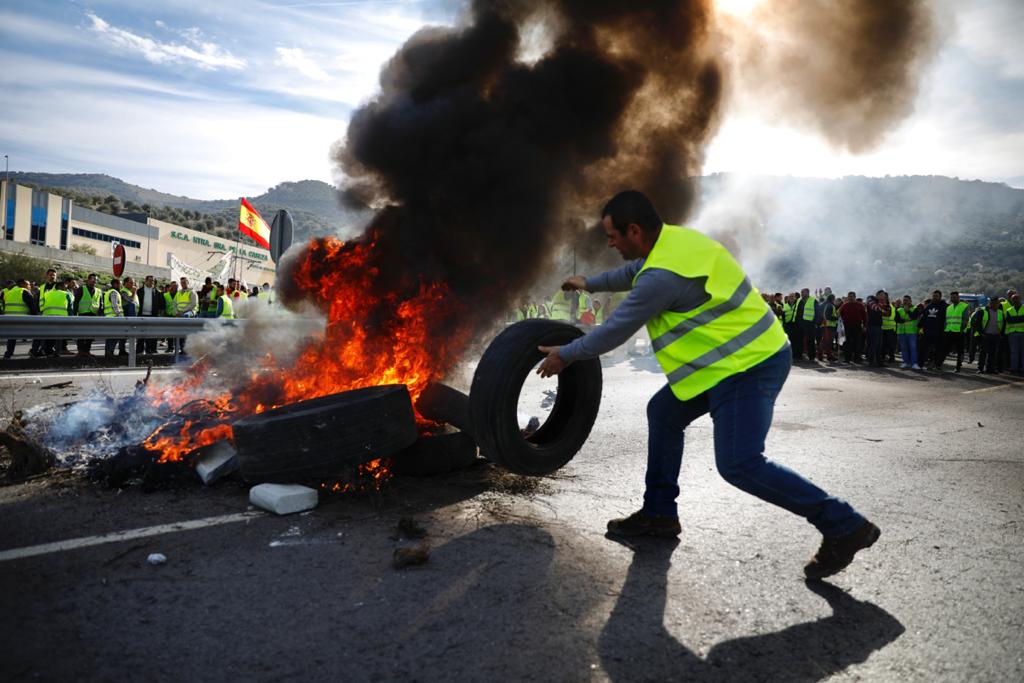Miles de trabajadores del sector del olivar se han manifestado en toda la provincia de Jaén