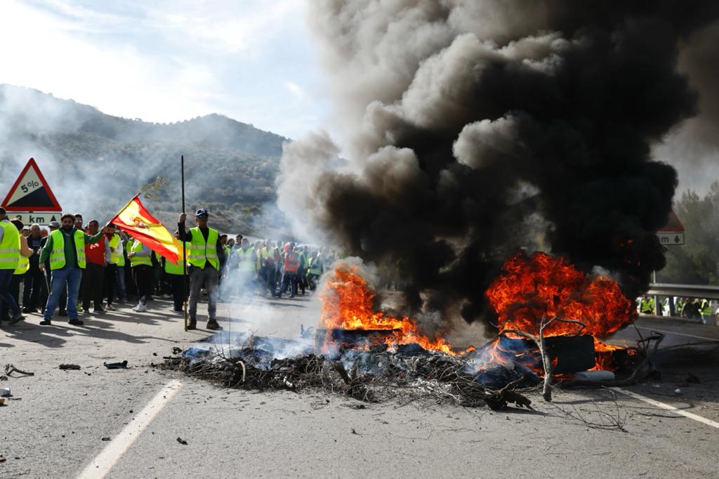 Miles de trabajadores del sector del olivar se han manifestado en toda la provincia de Jaén