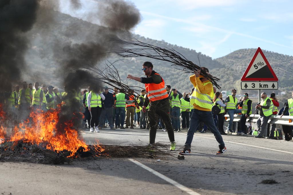 Miles de trabajadores del sector del olivar se han manifestado en toda la provincia de Jaén