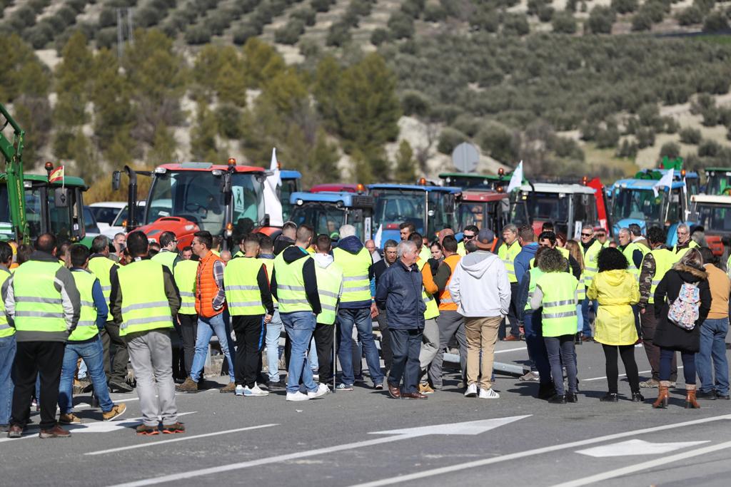 Miles de trabajadores del sector del olivar se han manifestado en toda la provincia de Jaén