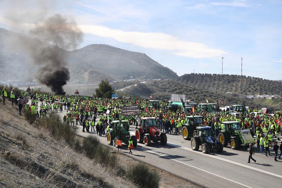 Miles de trabajadores del sector del olivar se han manifestado en toda la provincia de Jaén