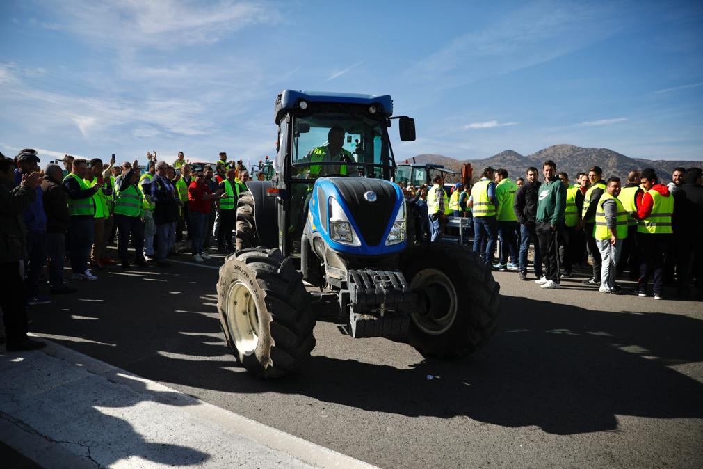 Miles de trabajadores del sector del olivar se han manifestado en toda la provincia de Jaén