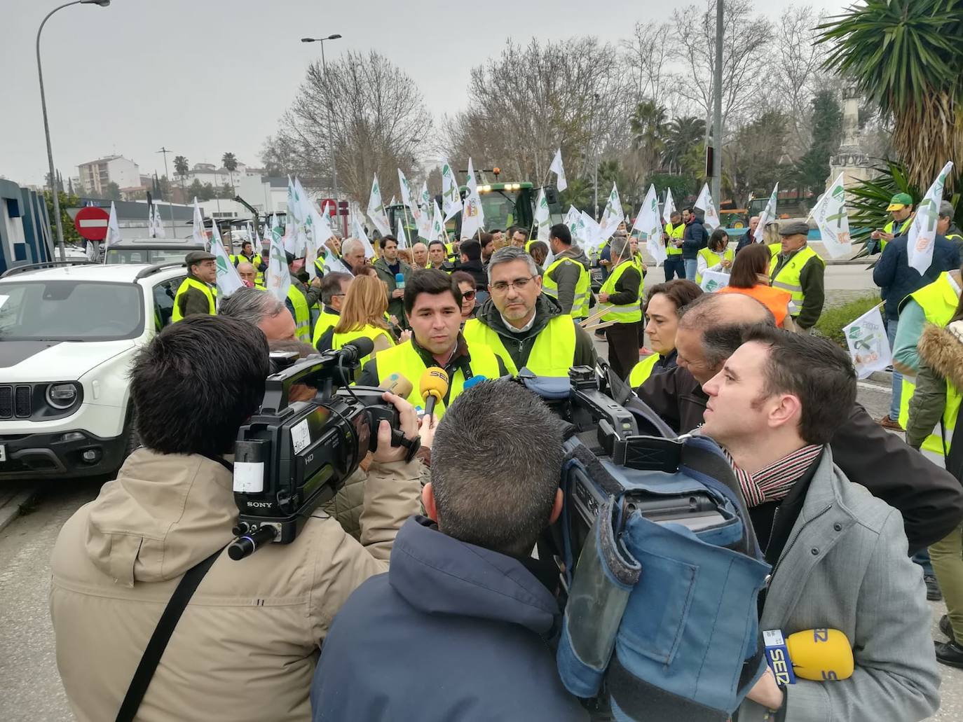 Miles de trabajadores del sector del olivar se han manifestado en toda la provincia de Jaén