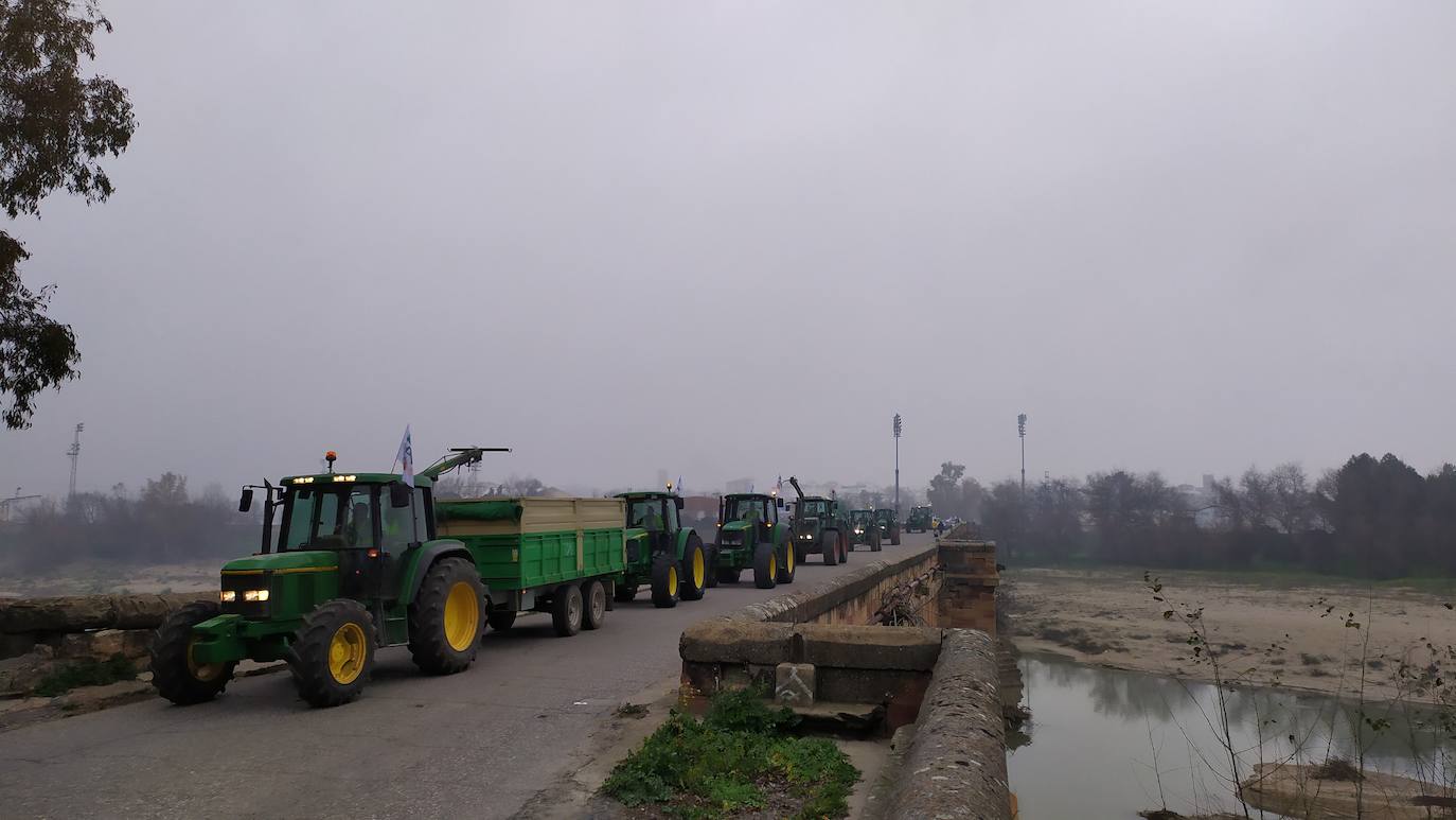 Miles de trabajadores del sector del olivar se han manifestado en toda la provincia de Jaén