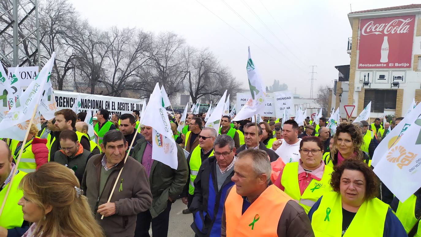 Miles de trabajadores del sector del olivar se han manifestado en toda la provincia de Jaén