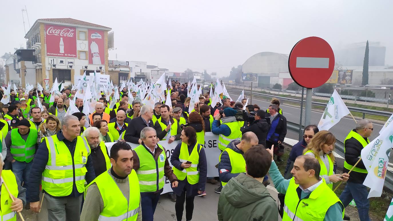 Miles de trabajadores del sector del olivar se han manifestado en toda la provincia de Jaén