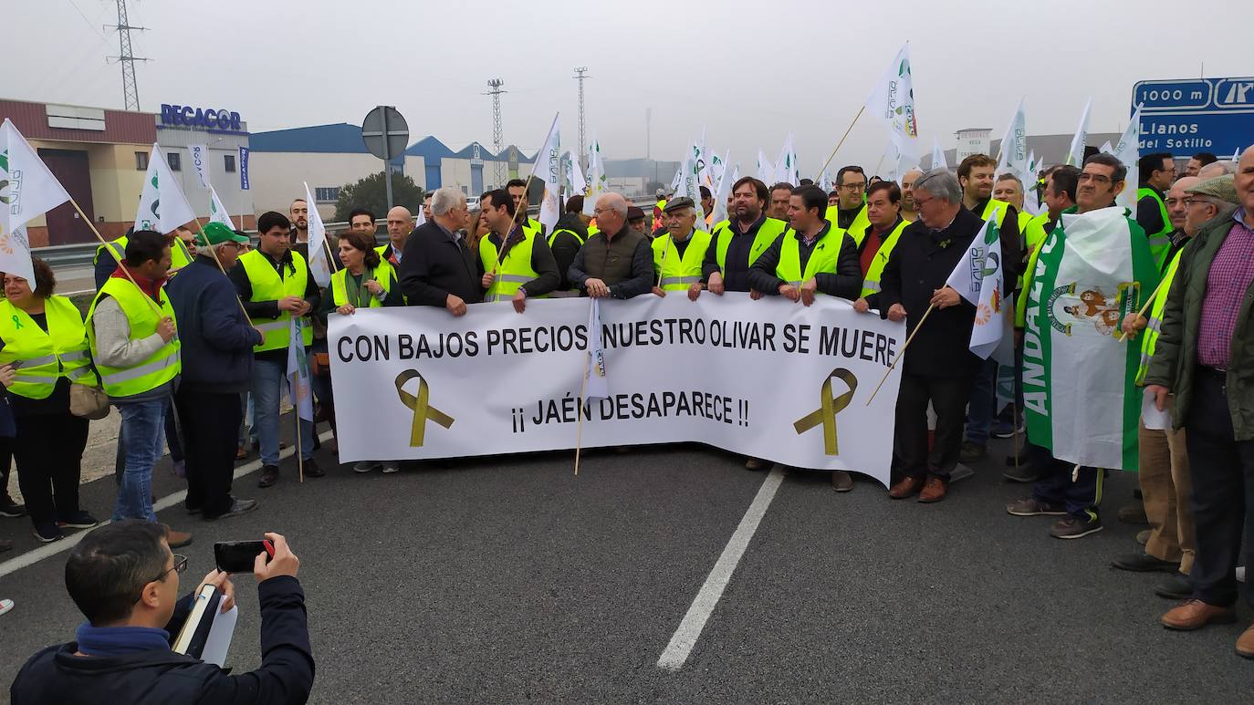 Miles de trabajadores del sector del olivar se han manifestado en toda la provincia de Jaén