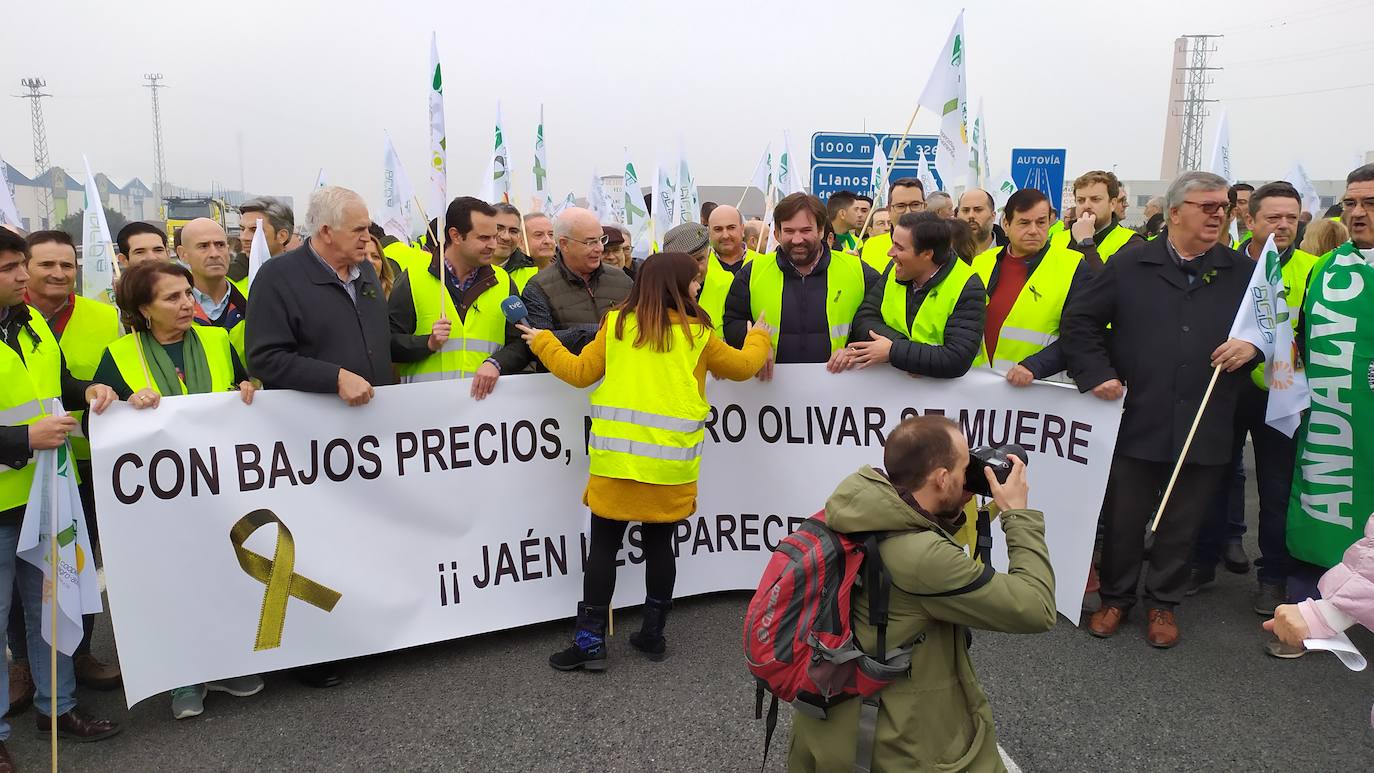 Miles de trabajadores del sector del olivar se han manifestado en toda la provincia de Jaén