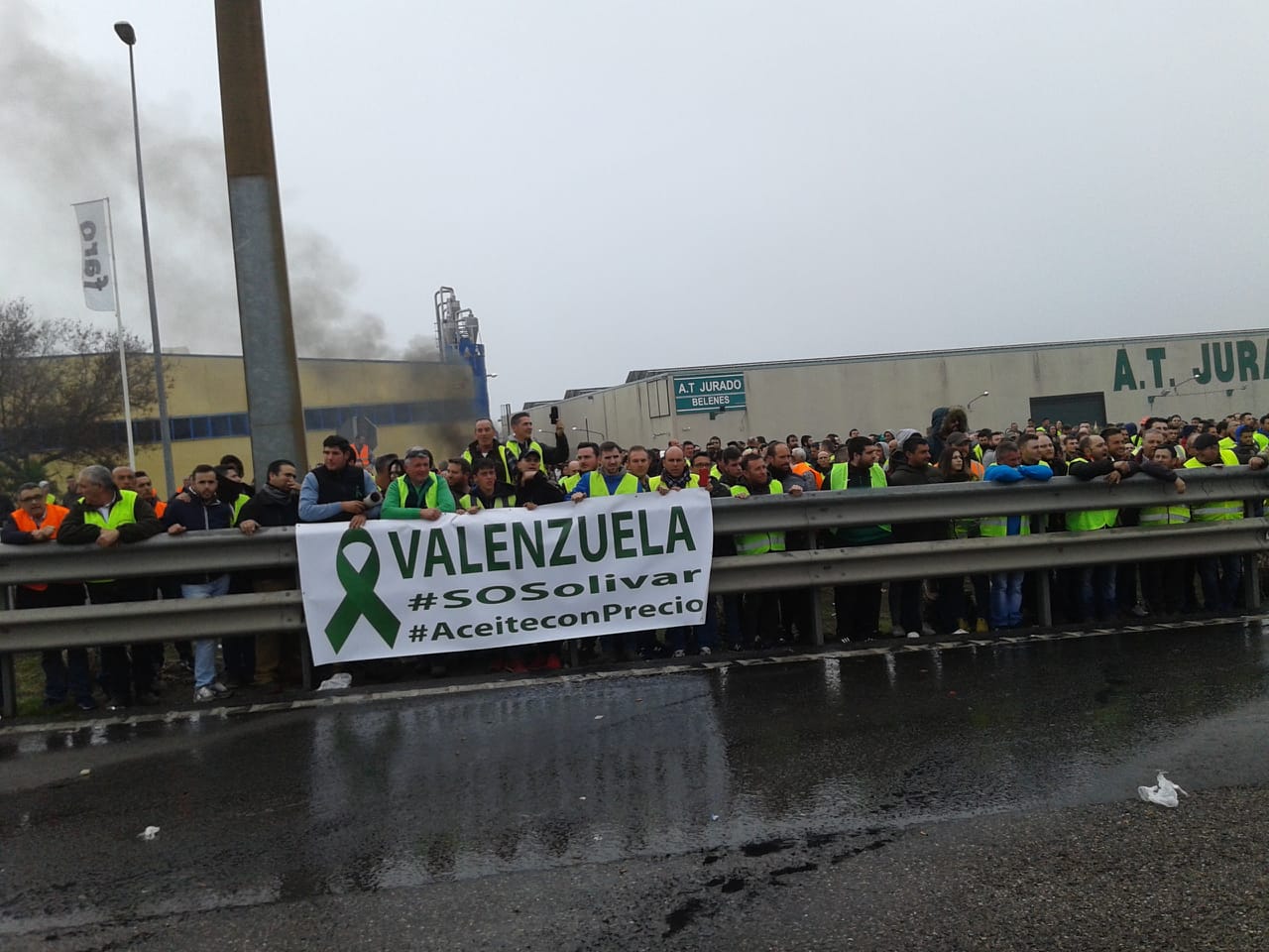 Miles de trabajadores del sector del olivar se han manifestado en toda la provincia de Jaén