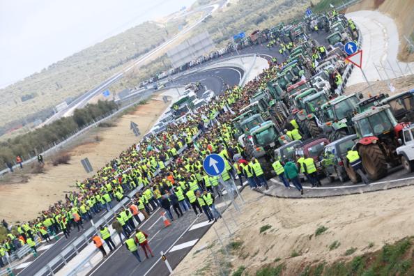 Miles de trabajadores del sector del olivar se han manifestado en toda la provincia de Jaén